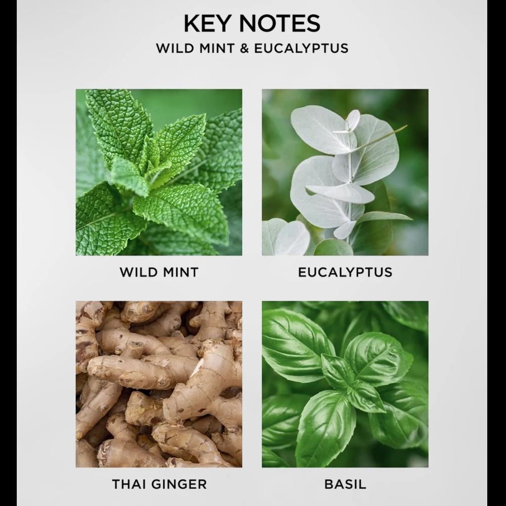 NEST Fragrances Wellness Misting Diffuser Set Wild Mint & Eucalyptus - Picture 6 of 6